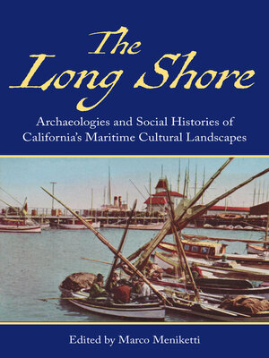 cover image of The Long Shore